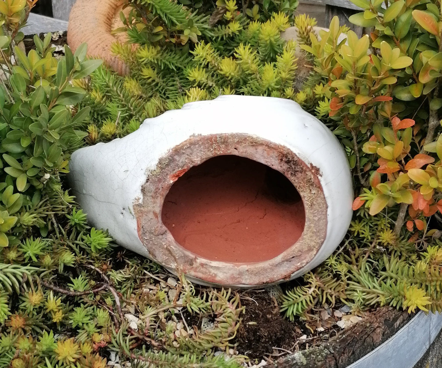 NEU !! 2. Wahl ! Vogel aus frostfesten Steinzeug weißlich glasiert ca. 16 cm lang Deko Garten Spatz Figur Taube
