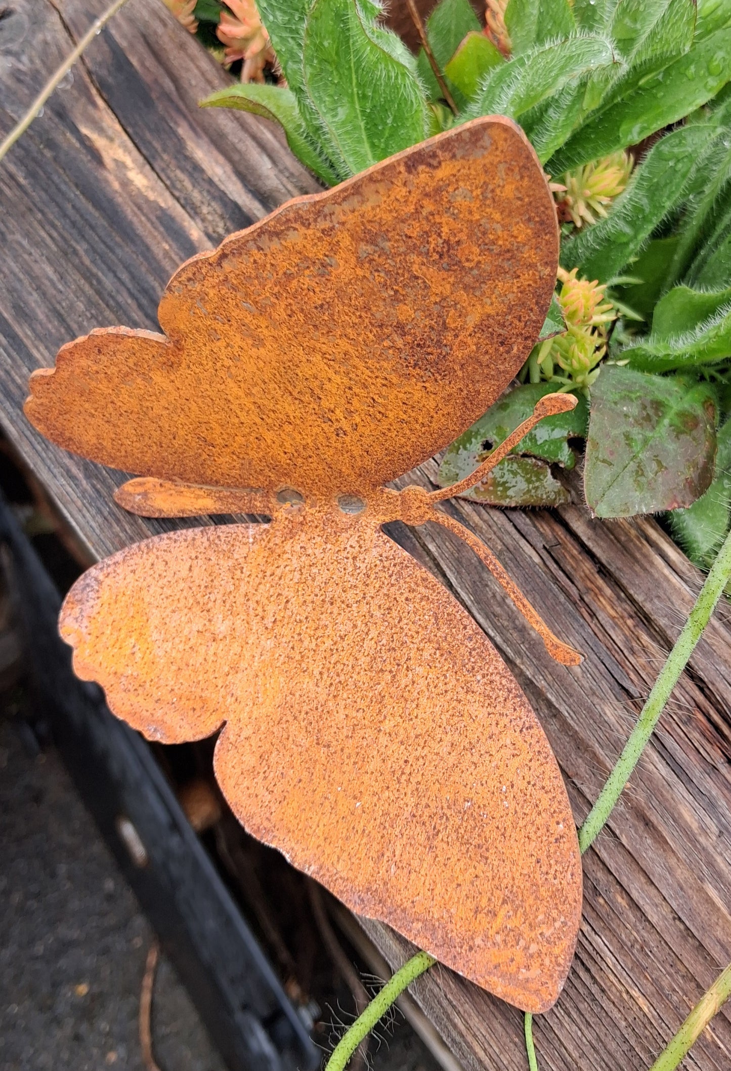 NEU !! 3 Schöne Schmetterlinge zum Schrauben ca. 13 cm x 11 cm aus Metall in Edelrost Deko Sommer Frühling Garten Balkon Terrasse