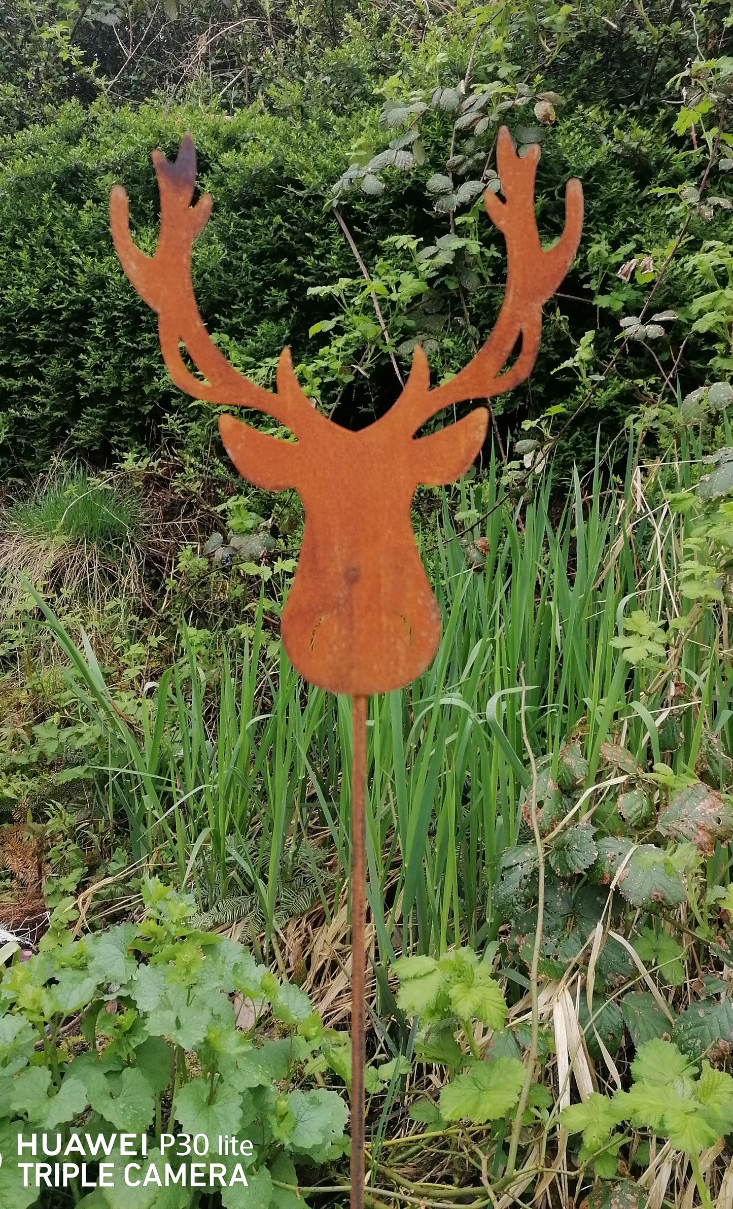 NEU !! 2er Set Gartenstecker Elchkopf 115 + 64 cm lang aus Metall in Edelrost Rankhilfe Deko Geweih Wald Weihnachten Jäger Hirsch