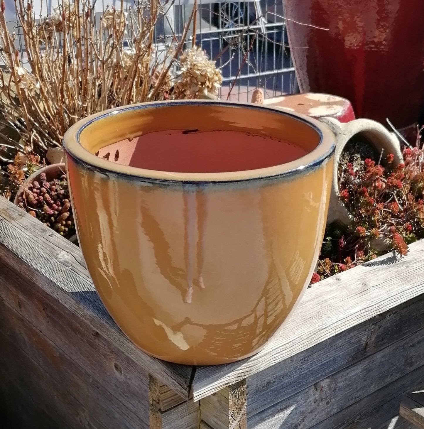 Neu ! Blumentopf honiggelb hochglänzend glasiert ø ca. 25 cm aus frostfesten Steinzeug Pflanztopf, Blumenkübel