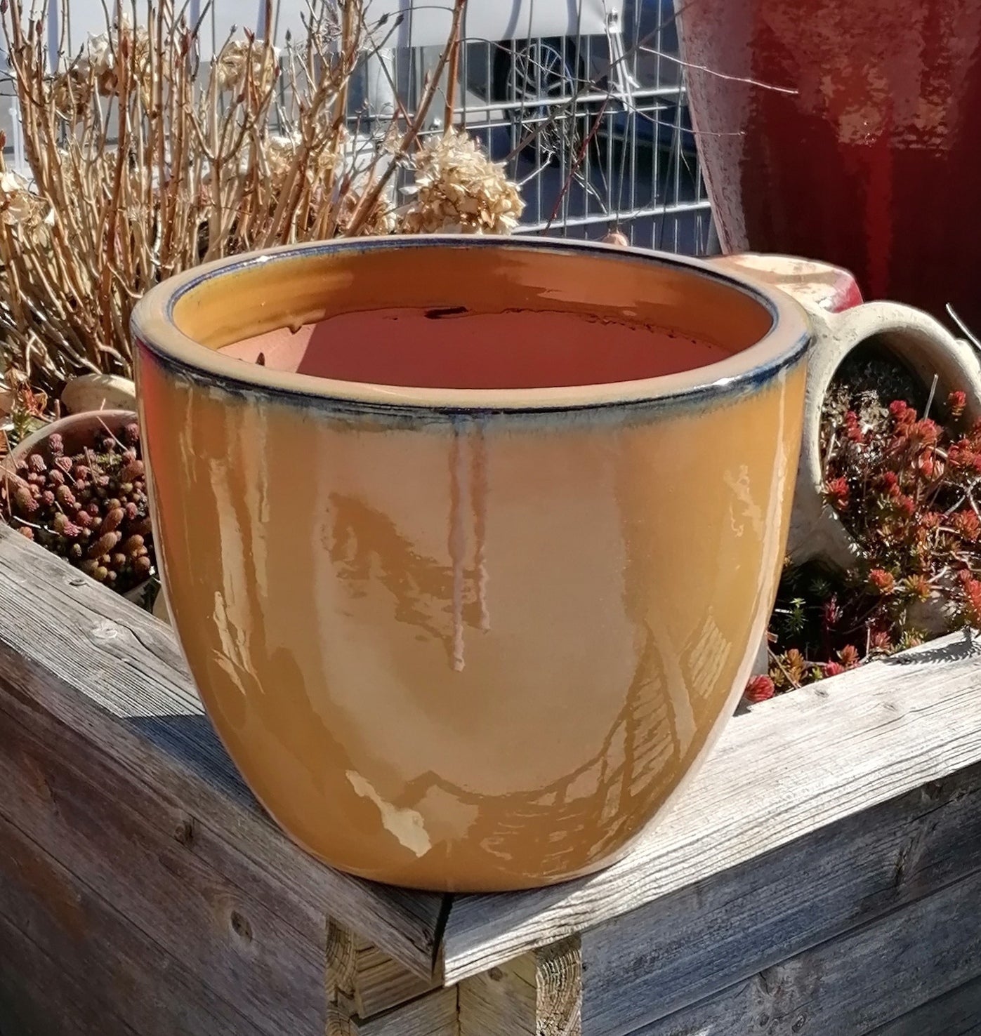 Neu ! Blumentopf honiggelb hochglänzend glasiert ø ca. 25 cm aus frostfesten Steinzeug Pflanztopf, Blumenkübel