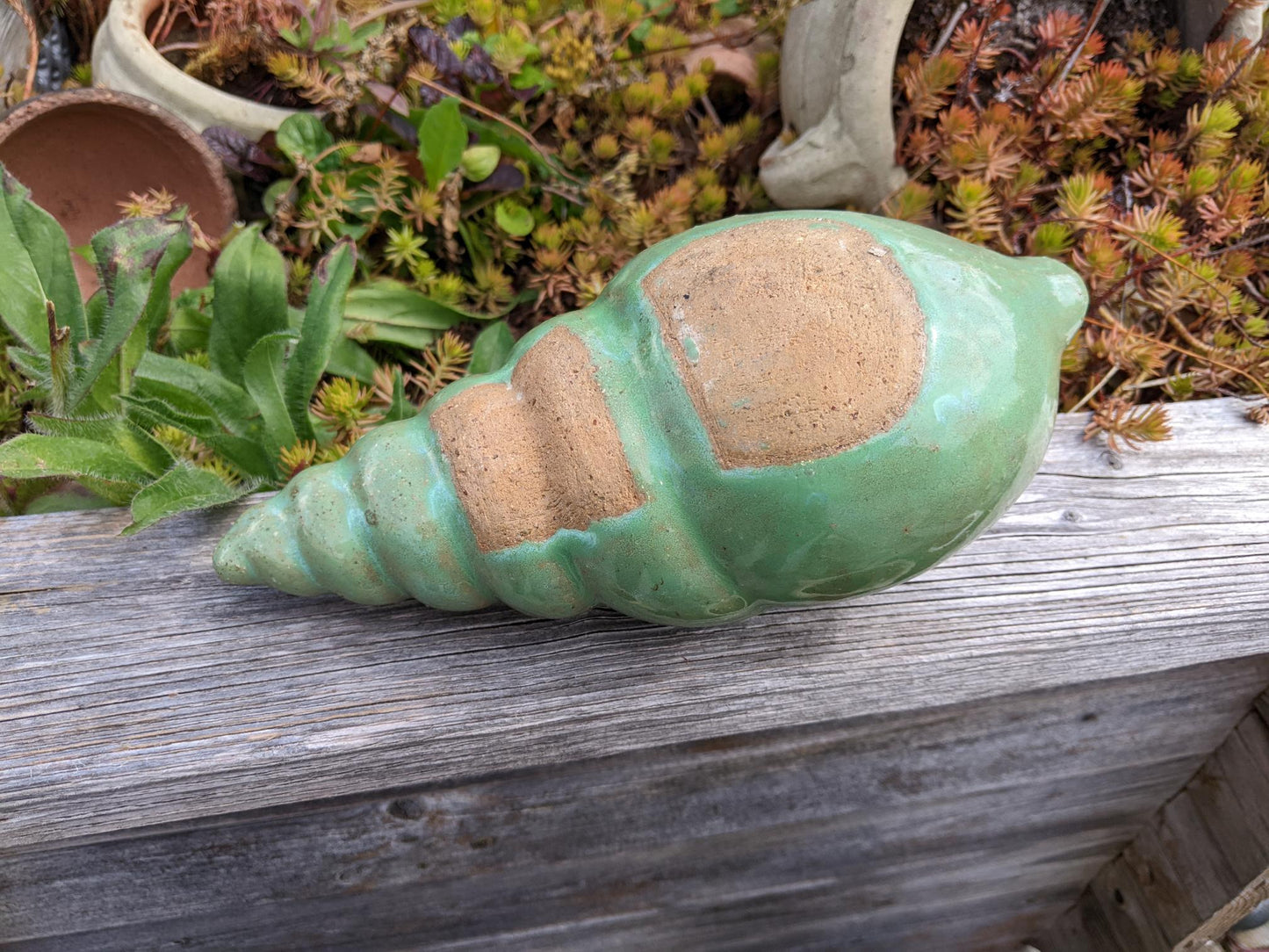 Neu ! Schnecke ca. 23 cm lang aus winterfesten Steinzeug aus grün glasierten Steinzeug Meerestier Aquarium Wasser Teich Deko Muschel