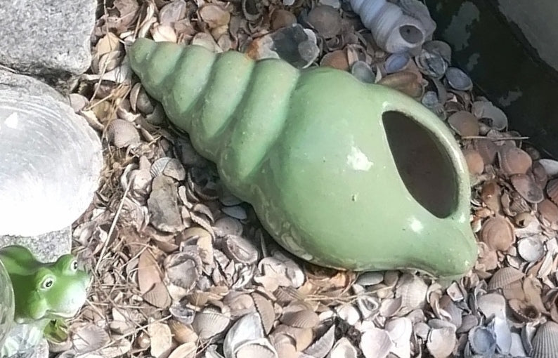 Neu ! Schnecke ca. 23 cm lang aus winterfesten Steinzeug aus grün glasierten Steinzeug Meerestier Aquarium Wasser Teich Deko Muschel