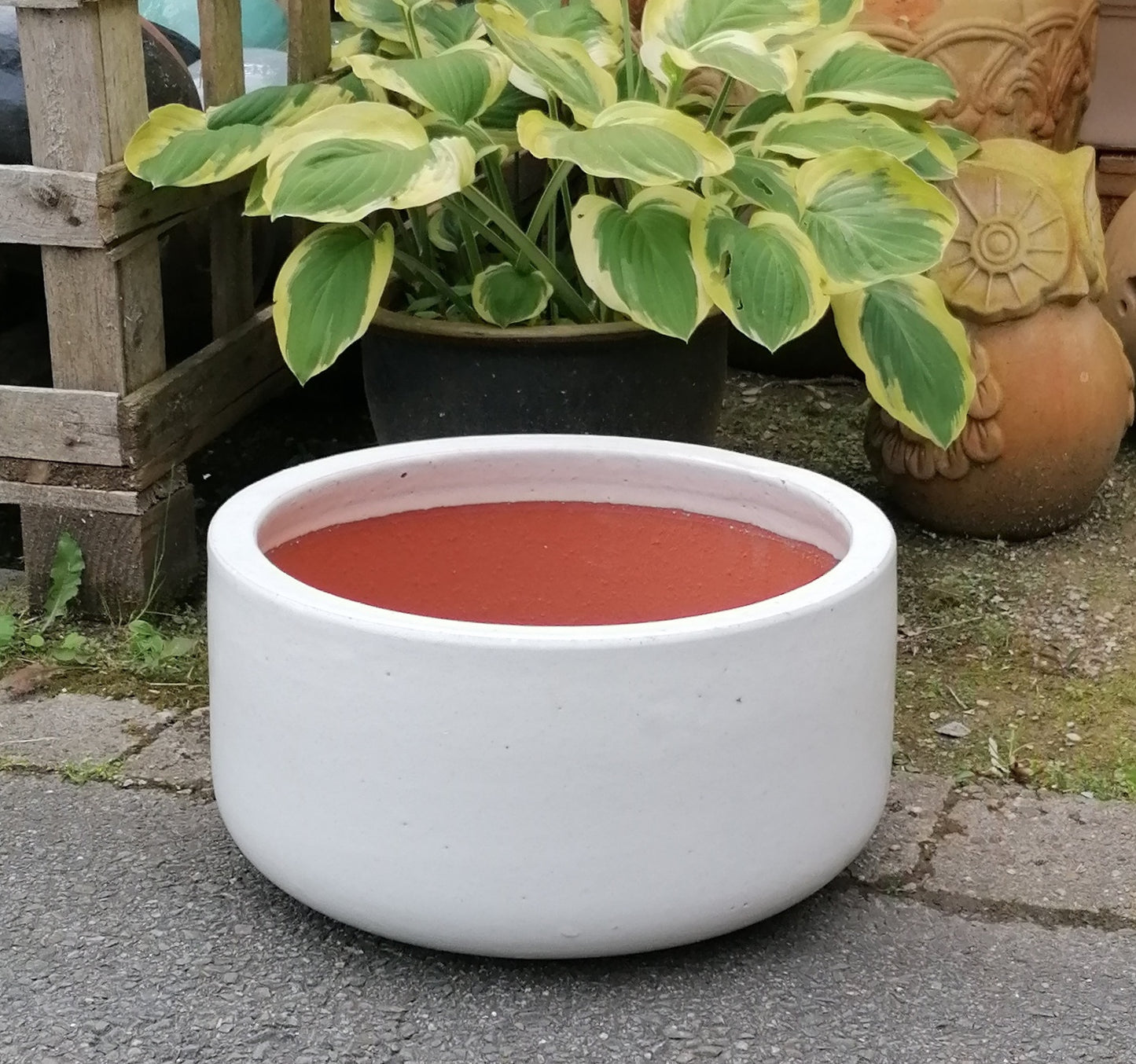 NEU !! Pflanzschale ø 38 cm aus Steinzeug weiß glasiert , Pflanztopf Blumenkübel Blumentopf