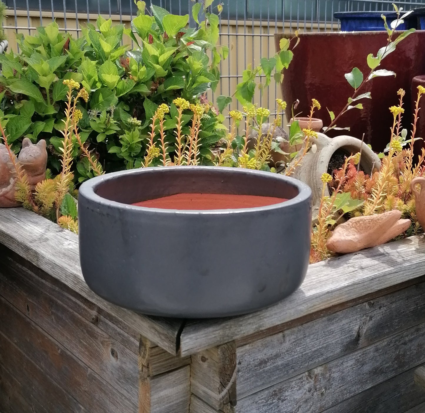 NEU !! Pflanzschale ø 38 cm aus Steinzeug weiß glasiert , Pflanztopf Blumenkübel Blumentopf