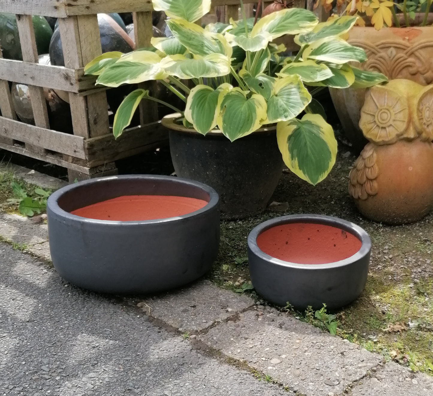 NEU !! 2 er Set Pflanzschalen ø 21 cm +ø 30 cm aus Steinzeug honiggelb / ocker glasiert , Pflanztopf Blumenkübel Blumentopf