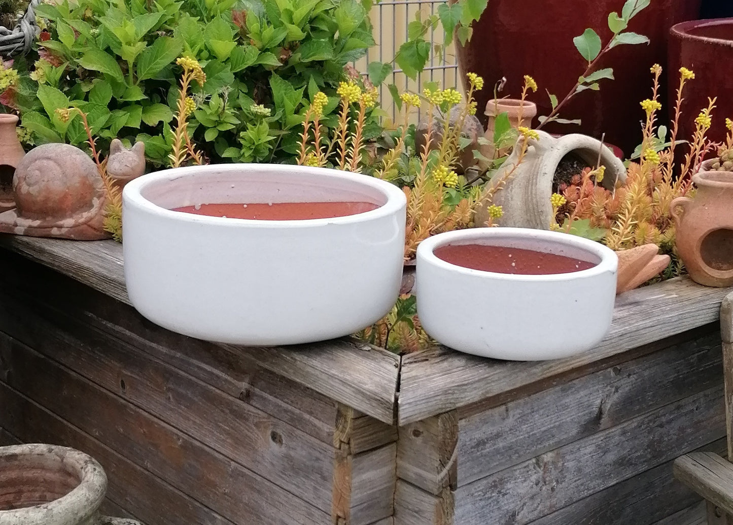 NEU !! 2 er Set Pflanzschalen ø 21 cm +ø 30 cm aus Steinzeug honiggelb / ocker glasiert , Pflanztopf Blumenkübel Blumentopf