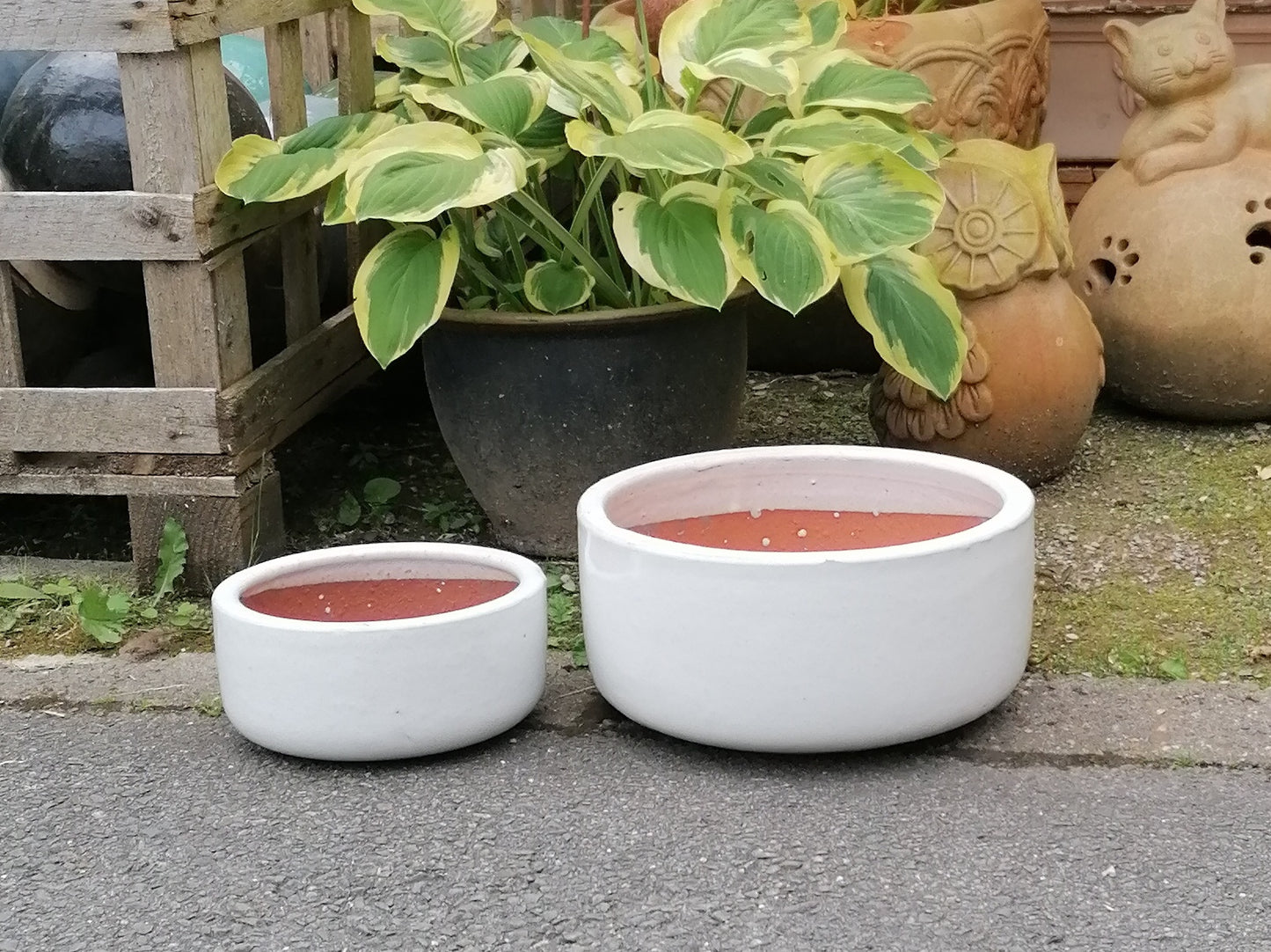 NEU !! Pflanzschale ø 38 cm aus Steinzeug weiß glasiert , Pflanztopf Blumenkübel Blumentopf