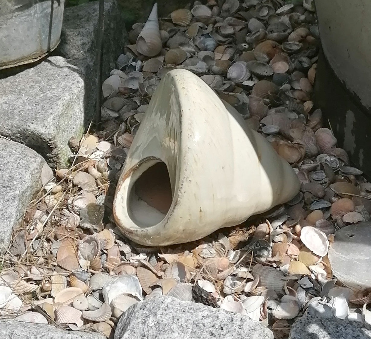 Neu ! Muschel ca. 14 cm breit aus winterfesten Steinzeug aus beige glasierten Steinzeug Meerestier Aquarium Wasser Teich Deko Schnecke Versteck für Fische