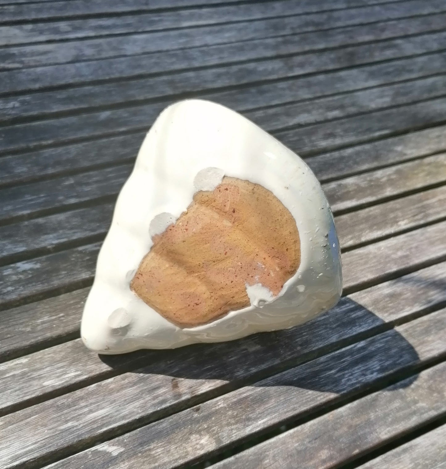 Neu ! Muschel ca. 14 cm breit aus winterfesten Steinzeug aus beige glasierten Steinzeug Meerestier Aquarium Wasser Teich Deko Schnecke Versteck für Fische