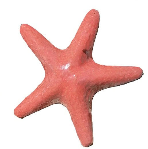 Neu !! Kleiner Seestern ca. 20 x 20 cm aus Steinzeug Meerestier Aquarium Wasser Teich Deko Muschel