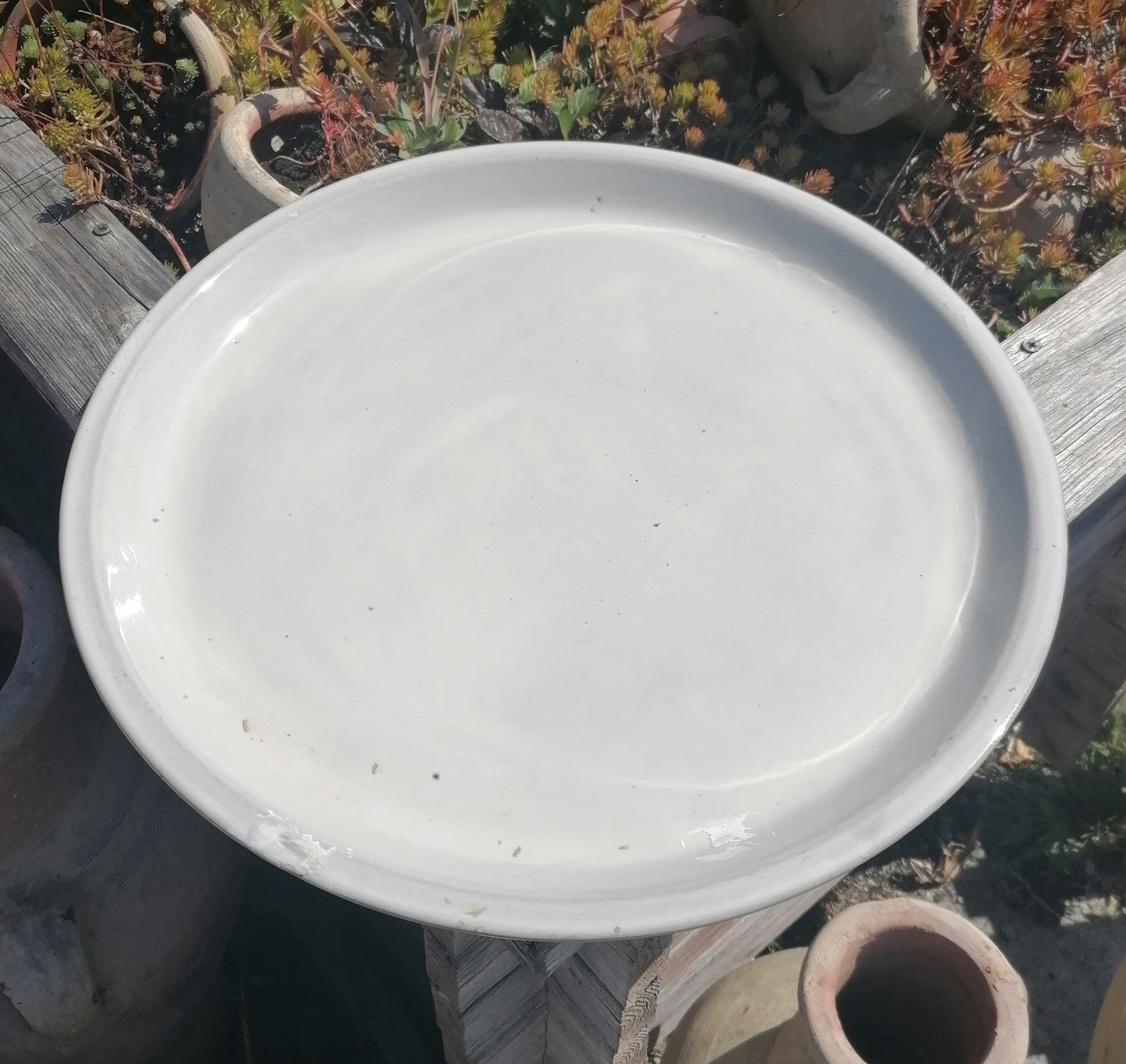 B-WARE !! Großer winterfester Untersetzer Teller Vogeltränke ø ca. 43 cm aus Keramik weißgrau glasiert Insektentränke Vogelbad Garten Blumentopf
