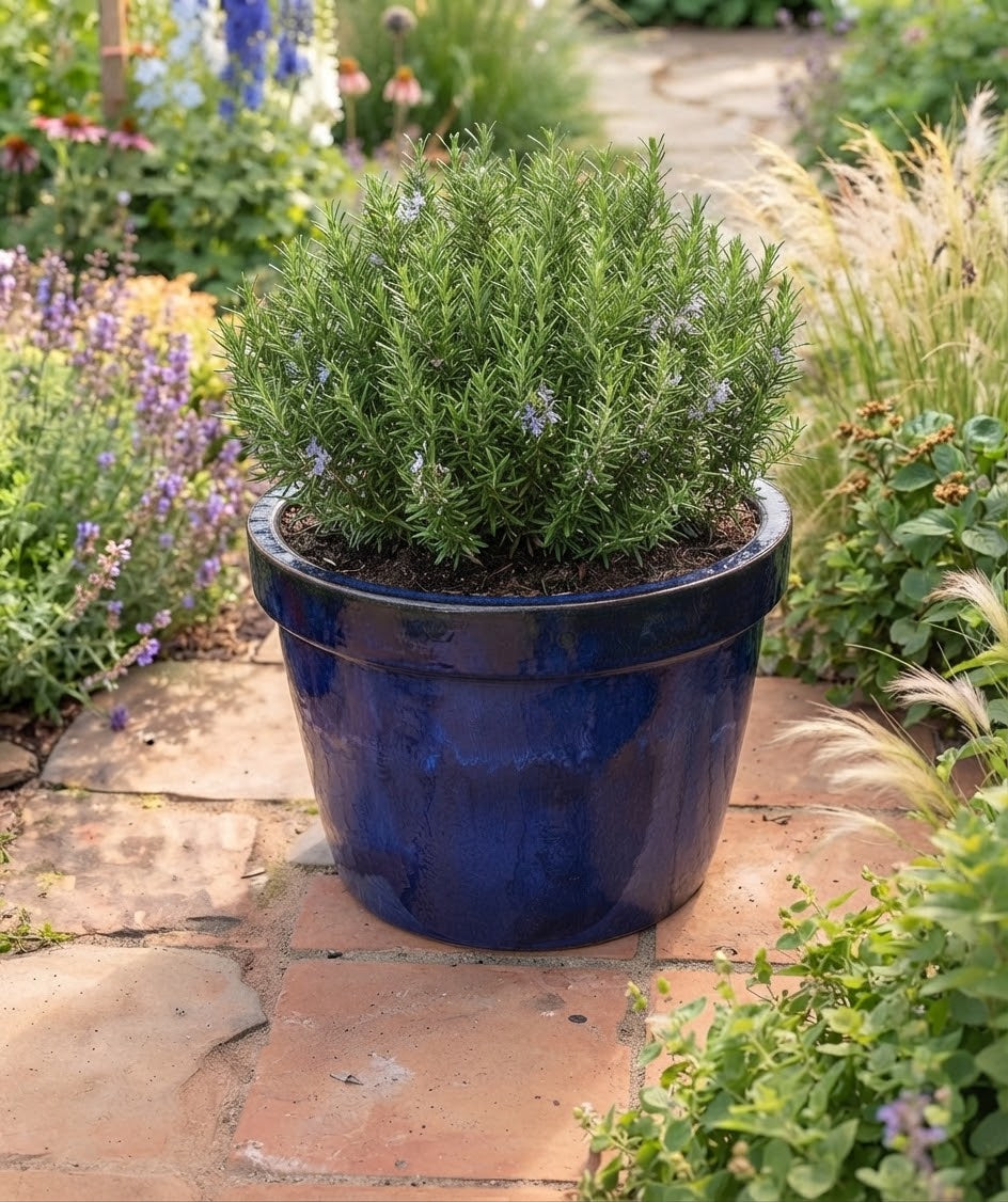 2.WAHL !! Blumentopf winterfest blau glasiert ø ca. 28 cm aus Steinzeu – La Casa