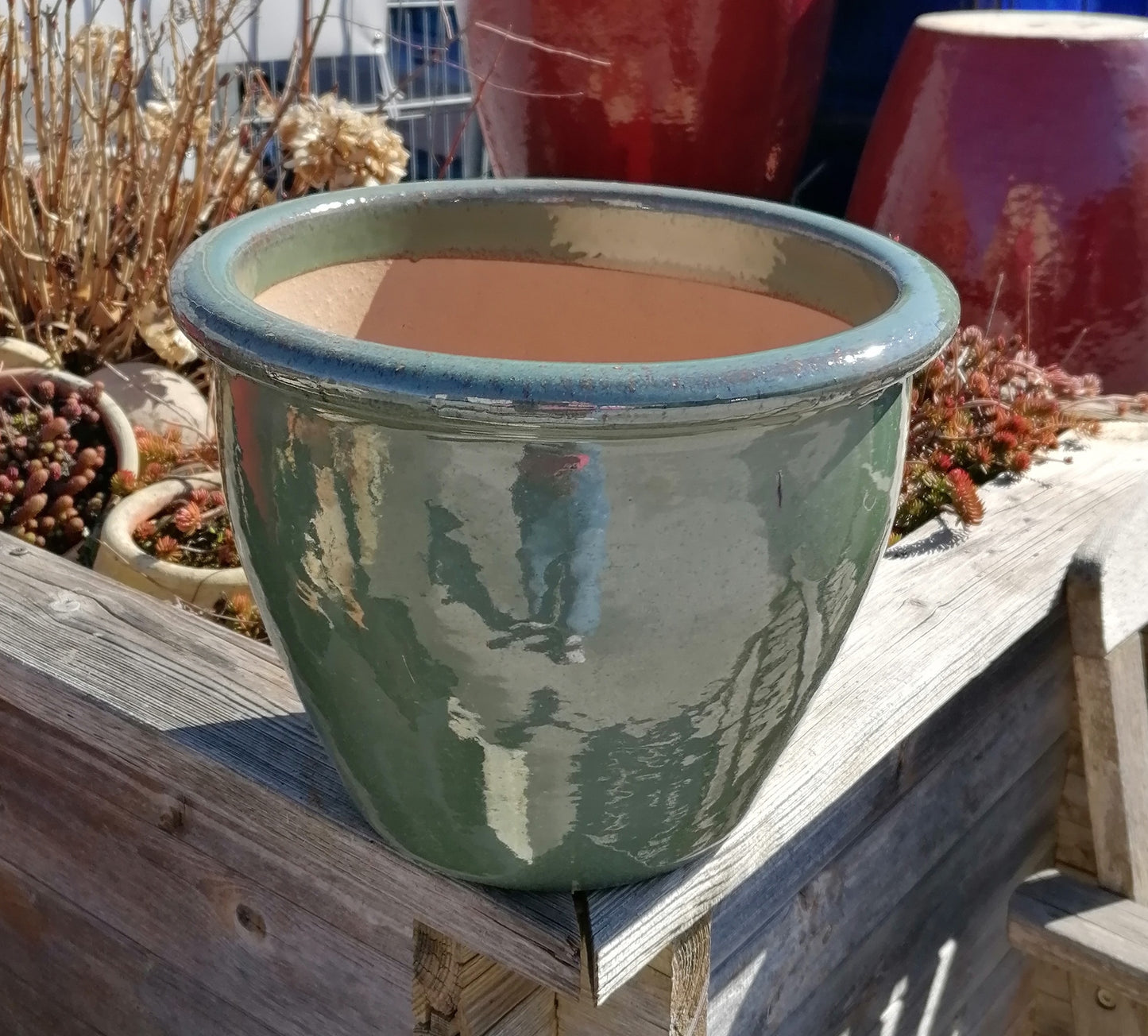 Neu !! Kleiner winterfester Blumentopf grün hochglänzend glasiert ø ca. 21 cm aus Steinzeug Pflanztopf, Blumenkübel , Übertopf