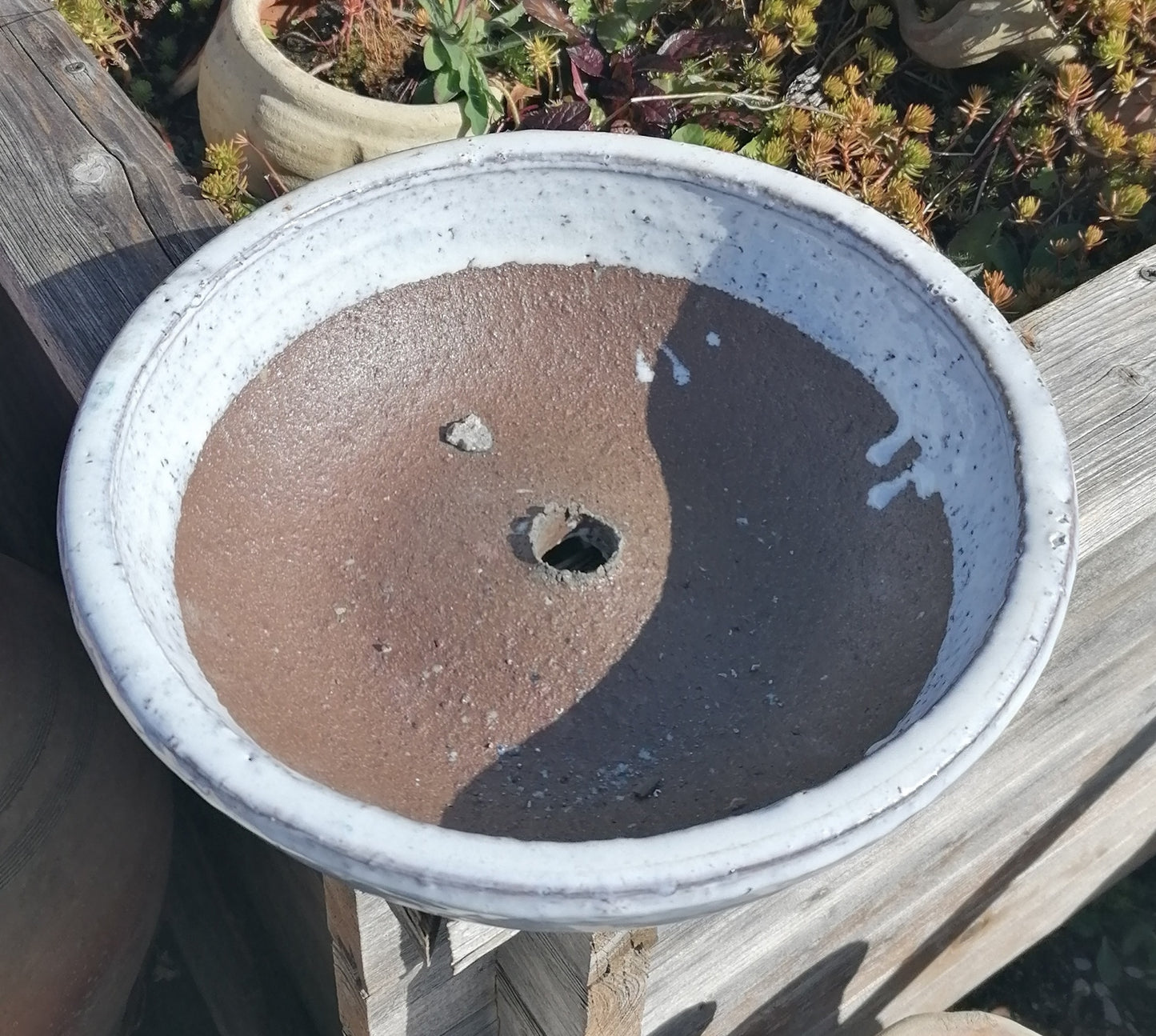 NEU ! B-Ware ! Flache Schale ø 31 cm aus Steinzeug weiß glänzend glasiert , Pflanztopf Blumenkübel Blumentopf Grabschale