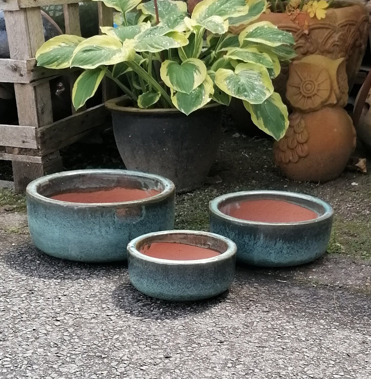 NEU !! 3er Set Pflanzschalen ø 18 ,22 cm + 27 cm aus Steinzeug grüngrau/moosgrün glasiert , Pflanztopf Blumenkübel Blumentopf