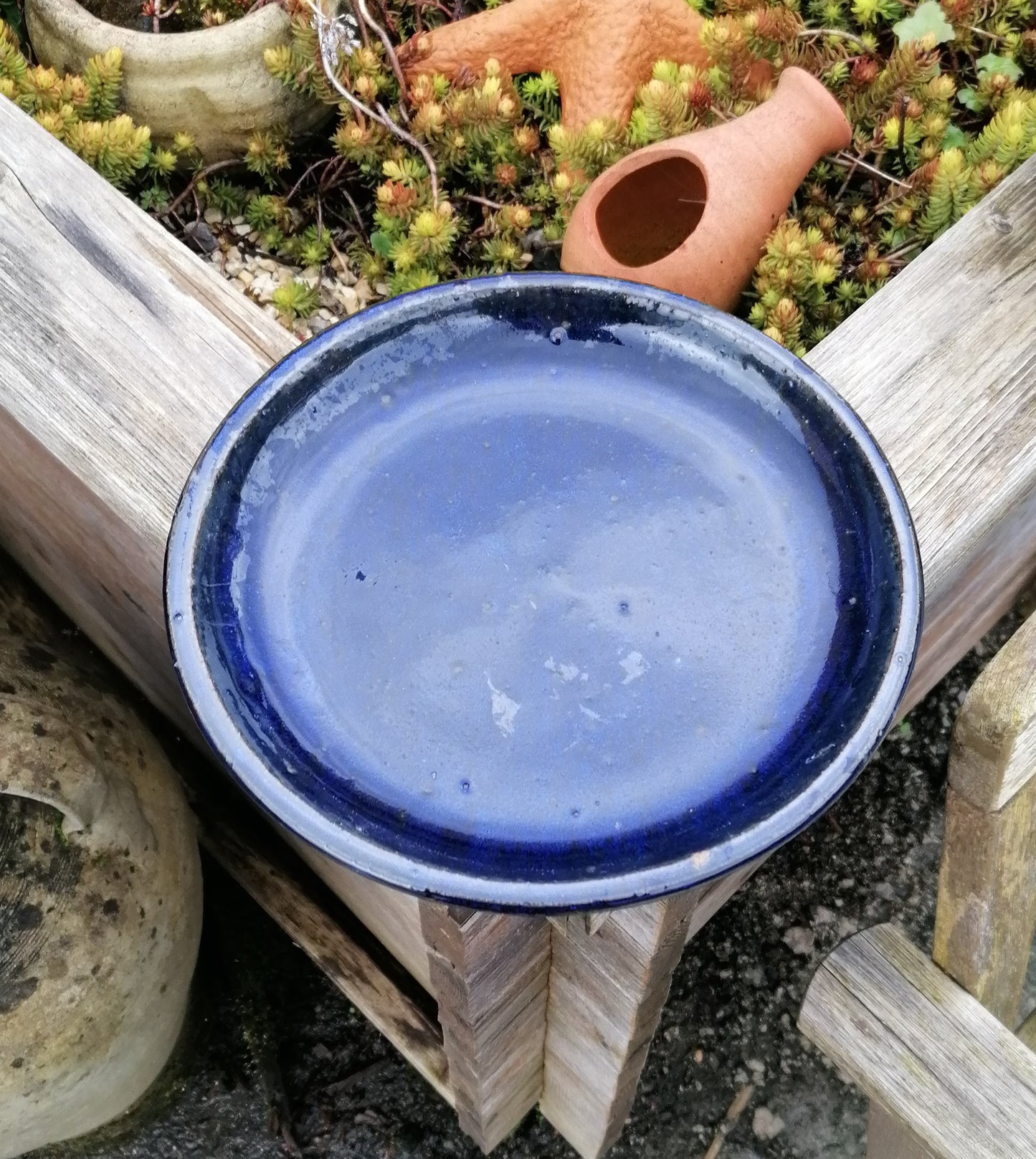 NEU !! Großer winterfester Untersetzer Teller Vogeltränke ø ca. 42 cm aus Keramik blau glasiert Insektentränke Vogelbad Garten Blumentopf