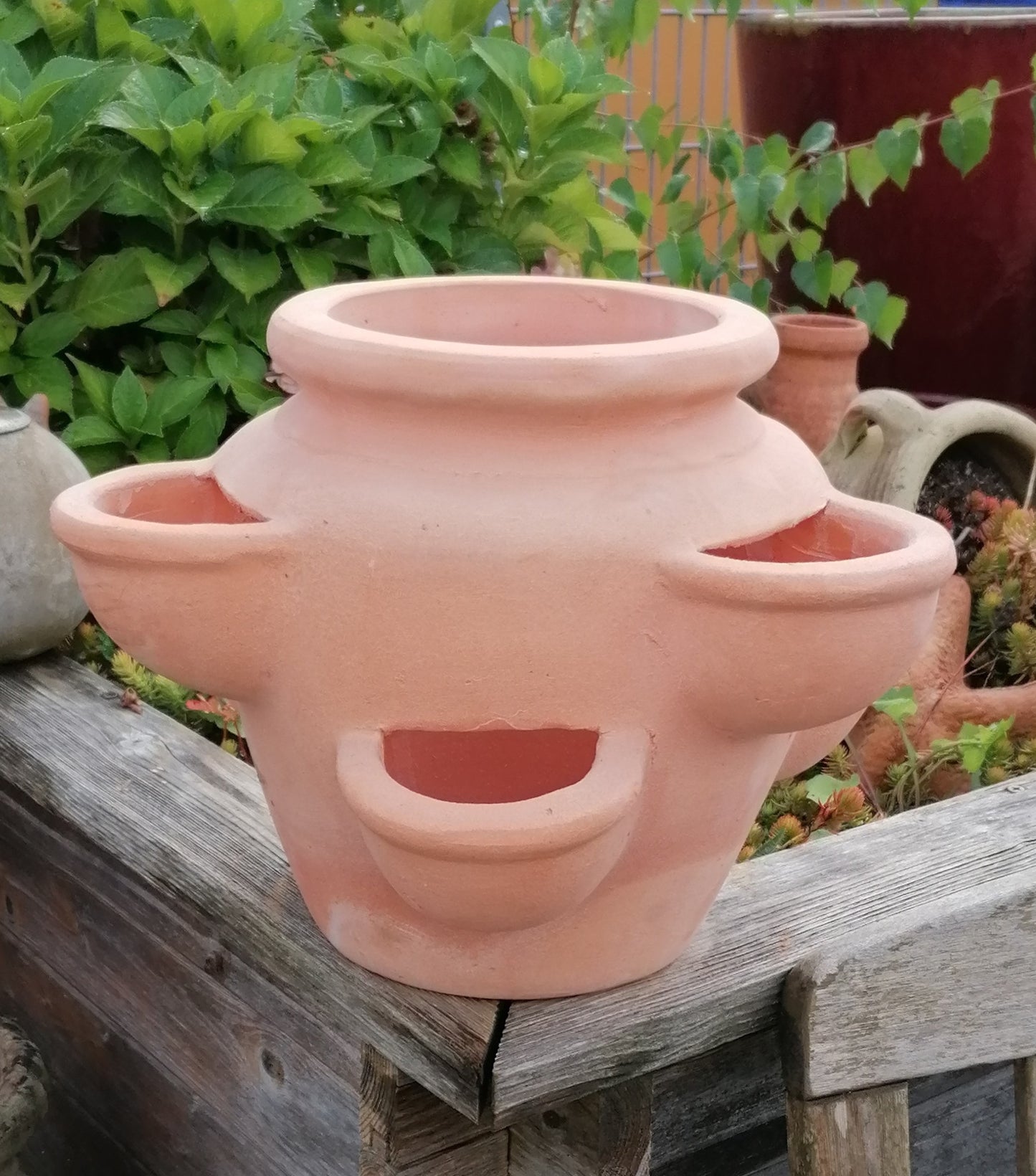 Neu !! Schöner großer Erdbeertopf / Kräutertopf ca. 28 cm hoch aus rotem Terracotta mit 6 Pflanzkammern Terrakotta mediterran Kakteen Sukkulenten