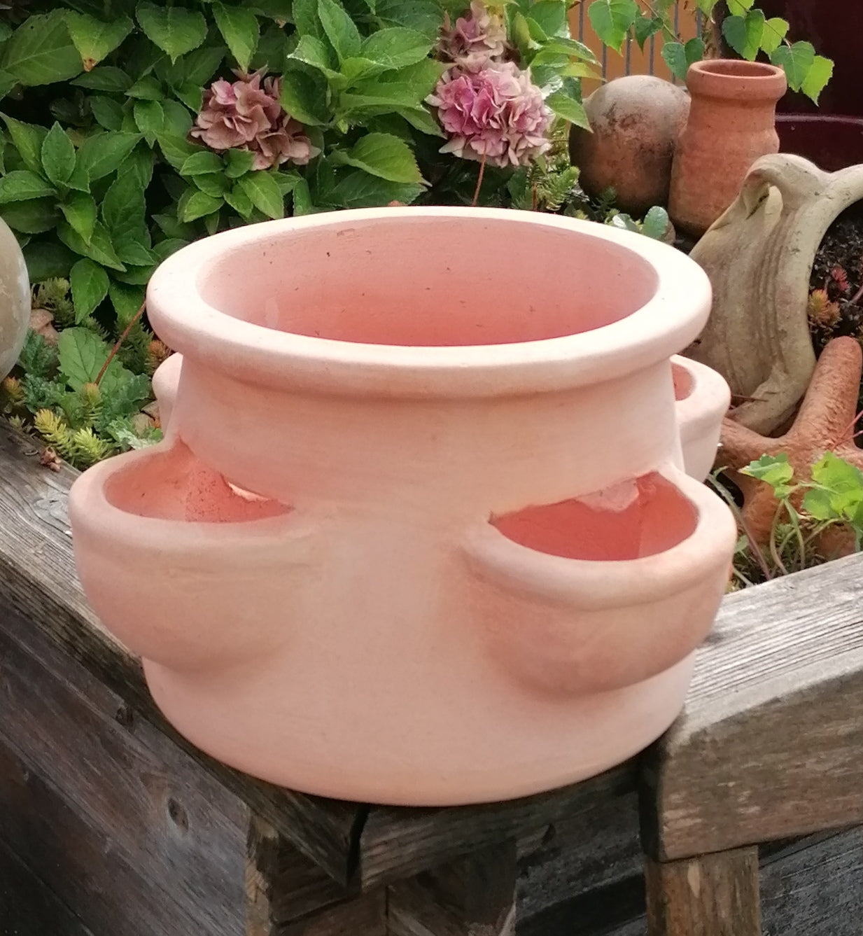 Neu !! Schöner Erdbeertopf / Kräutertopf ca. 20 cm hoch aus rotem Terracotta mit 4 Pflanzkammern Terrakotta mediterran Kakteen Sukkulenten