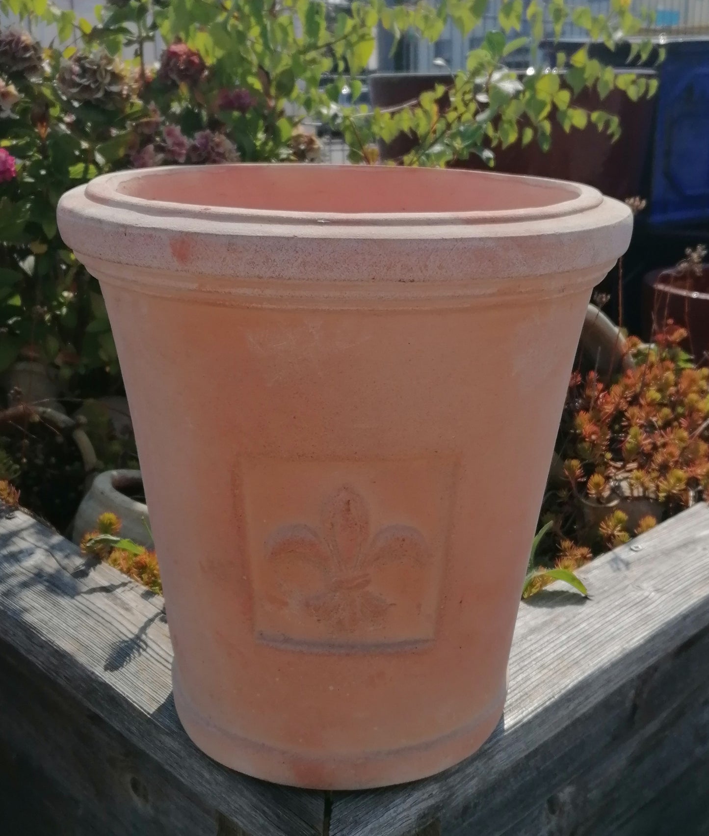 NEU !! Schöner robuster Blumentopf mit Ornament / Lilie / Relief ø ca. 29 cm aus roten Terracotta, Pflanzgefäß Terrakotta Übertopf Deko Garten
