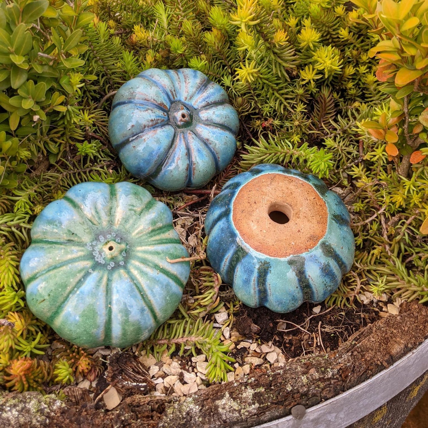 NEU !! 3er Set Kürbisse 7 x 11 cm aus frostfesten Steinzeug Herbstdeko Erntedankfest Halloween Obst Gemüse Dekoration
