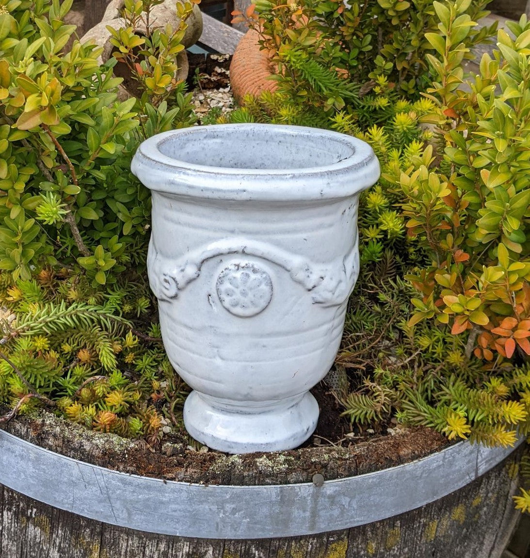 B-WARE !! Kleiner weißer Pokal Blumentopf aus winterfesten Steinzeug c – La Casa