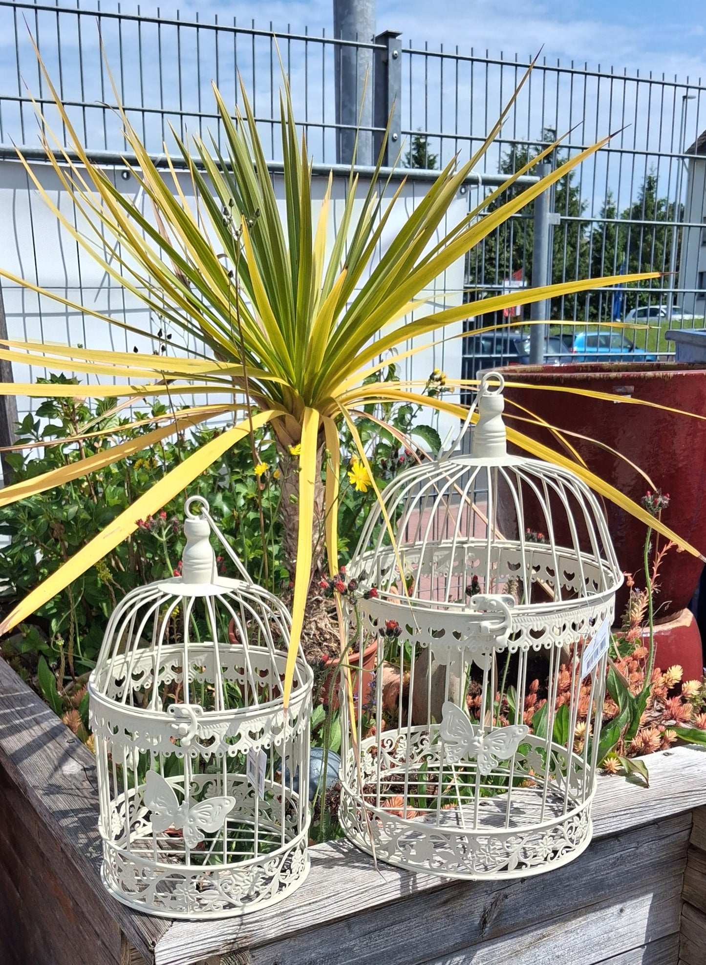 NEU !! Vogelkäfig ca. 47 cm hoch mit Schmetterlingen aus Metall in Rostoptik , Voliere , Käfig