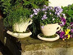 2. Wahl!! Bepflanzbare Tasse ca. 22 cm Durchmesser aus Terracotta, Pflanztopf, Übertopf