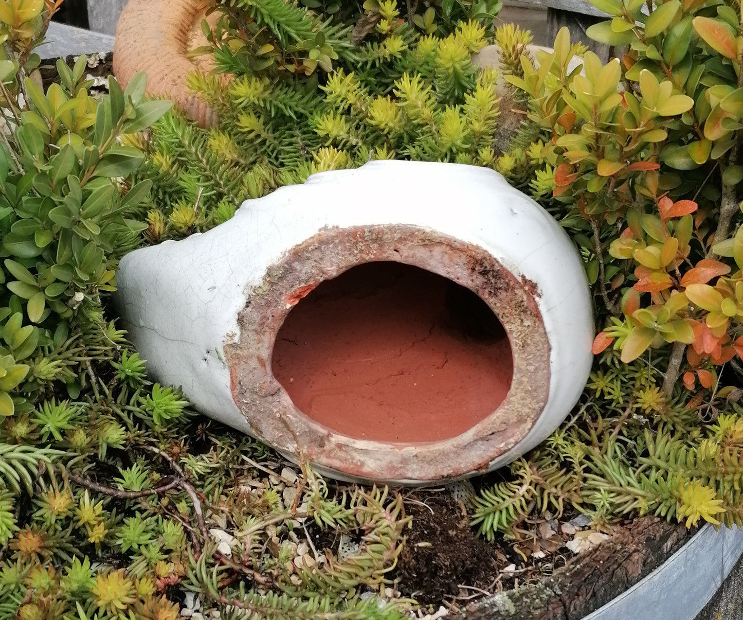 NEU !! 2. Wahl ! Vogel aus frostfesten Steinzeug weiß glasiert ca. 24 cm lang Deko Garten Spatz Figur Taube