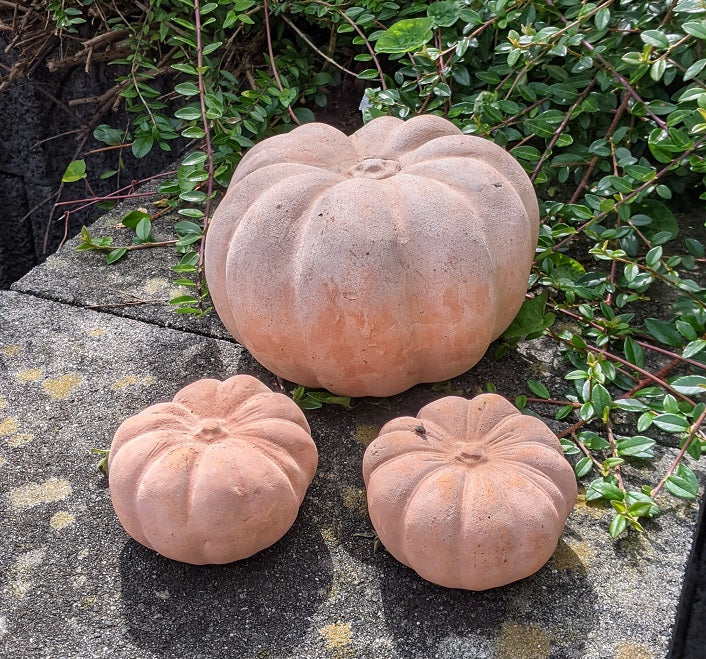 2. Wahl!! Aktion 3er Set Kürbisse 14 + 7 cm hoch aus Terracotta Herbstdeko Erntedankfest Halloween