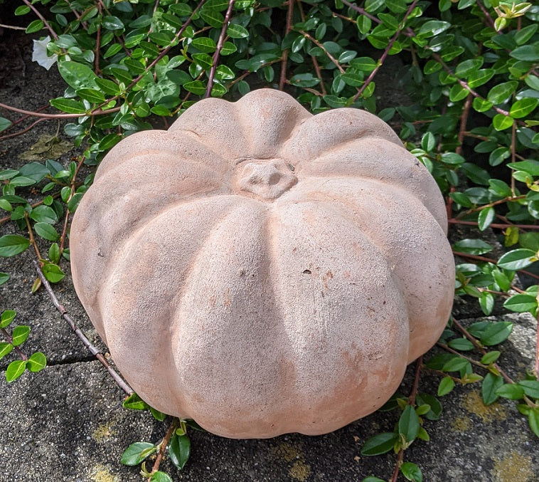 2. Wahl!! Aktion 3er Set Kürbisse 1x 22 cm breit + 2x 11 cm breit aus Terracotta Herbstdeko Erntedankfest Halloween