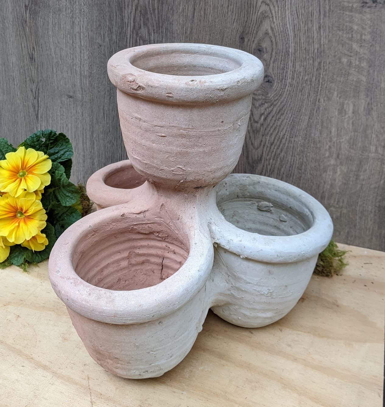 Schöner großer Kräutertopf ca. 33 cm x 33 cm aus Terracotta
