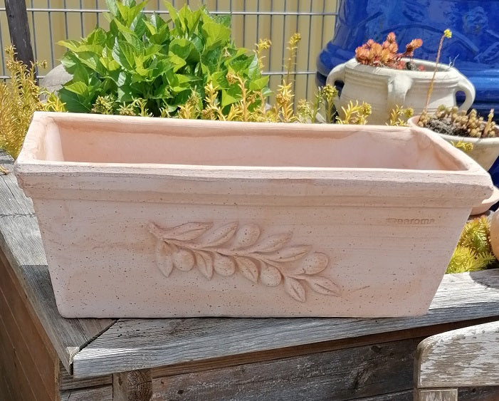 Blumenkasten mit Olivendekor ca. 50 cm breit aus Terracotta, Pflanztopf, Balkonkasten