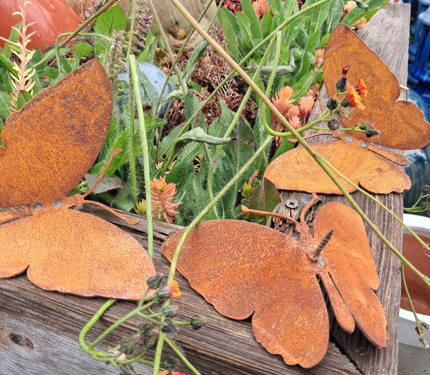 NEU !! 3 Schöne Schmetterlinge zum Schrauben ca. 13 cm x 11 cm aus Metall in Edelrost Deko Sommer Frühling Garten Balkon Terrasse