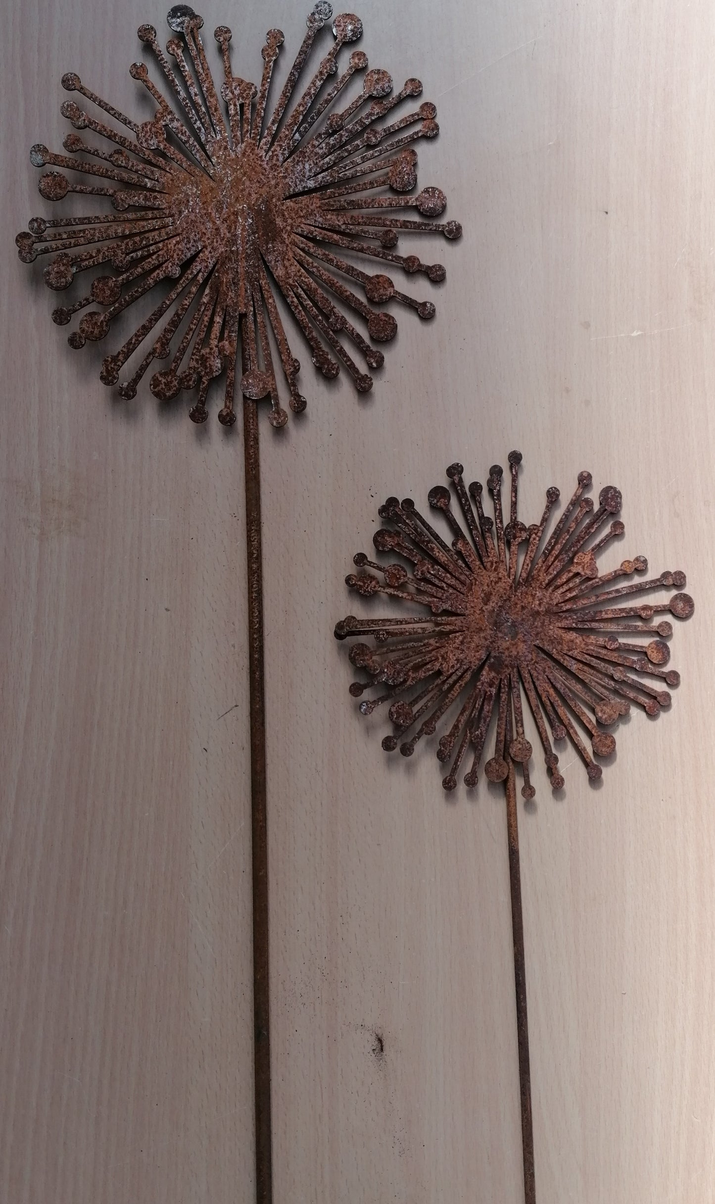 NEU !! 2er Set Stecker Zwiebelblüte / Allium / Lauch 57 + 90 cm lang aus Metall in Edelrost Gartenstecker Dekoration Herbst Frühling Kräuter Rankhilfe