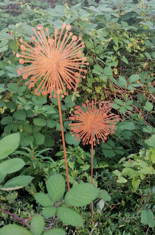 NEU !! 2er Set Stecker Zwiebelblüte / Allium / Lauch 57 + 90 cm lang aus Metall in Edelrost Gartenstecker Dekoration Herbst Frühling Kräuter Rankhilfe