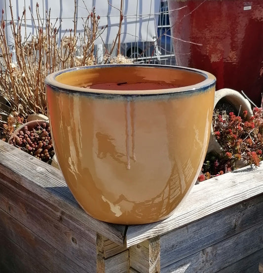 Neu ! Blumentopf honiggelb hochglänzend glasiert ø ca. 25 cm aus frostfesten Steinzeug Pflanztopf, Blumenkübel