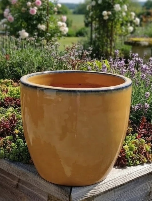 Neu ! Blumentopf honiggelb hochglänzend glasiert  ø ca. 25 cm aus frostfesten Steinzeug Pflanztopf, Blumenkübel