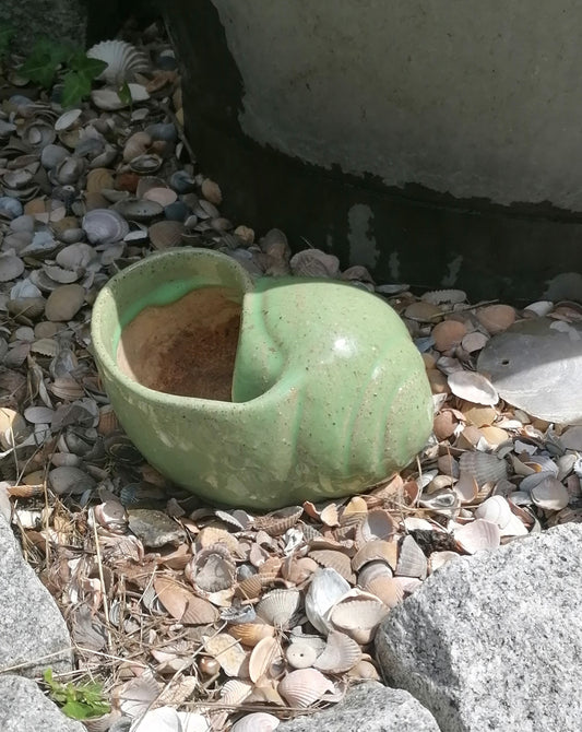 Neu ! Schnecke ca. 16 cm breit aus winterfesten Steinzeug aus grün glasierten Steinzeug Meerestier Aquarium Wasser Teich Deko Muschel