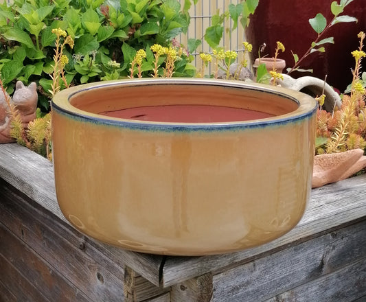 NEU !! Pflanzschale ø 38 cm aus Steinzeug honiggelb / ocker glasiert , Pflanztopf Blumenkübel Blumentopf