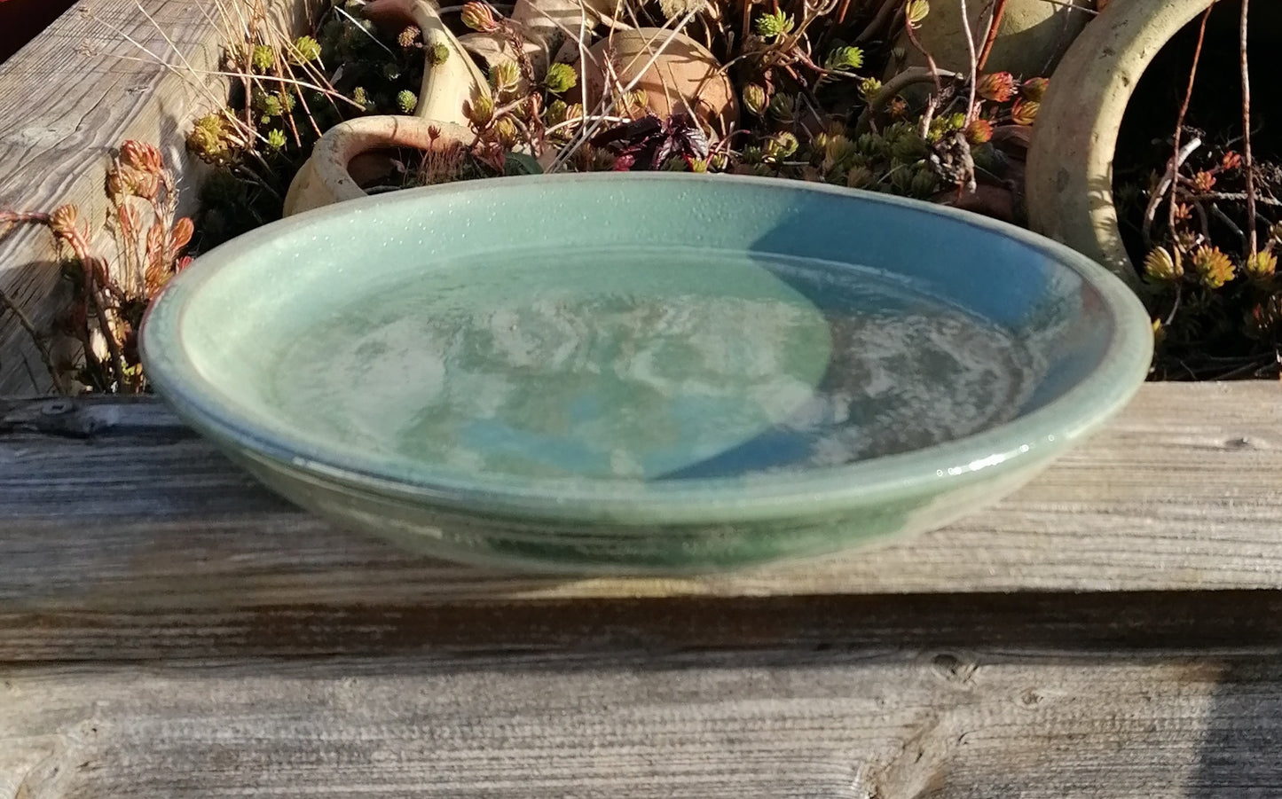 NEU !! Winterfester Untersetzer Teller Vogeltränke ø ca. 30 cm aus Keramik grün glänzend glasiert Insektentränke Vogelbad Garten Blumentopf