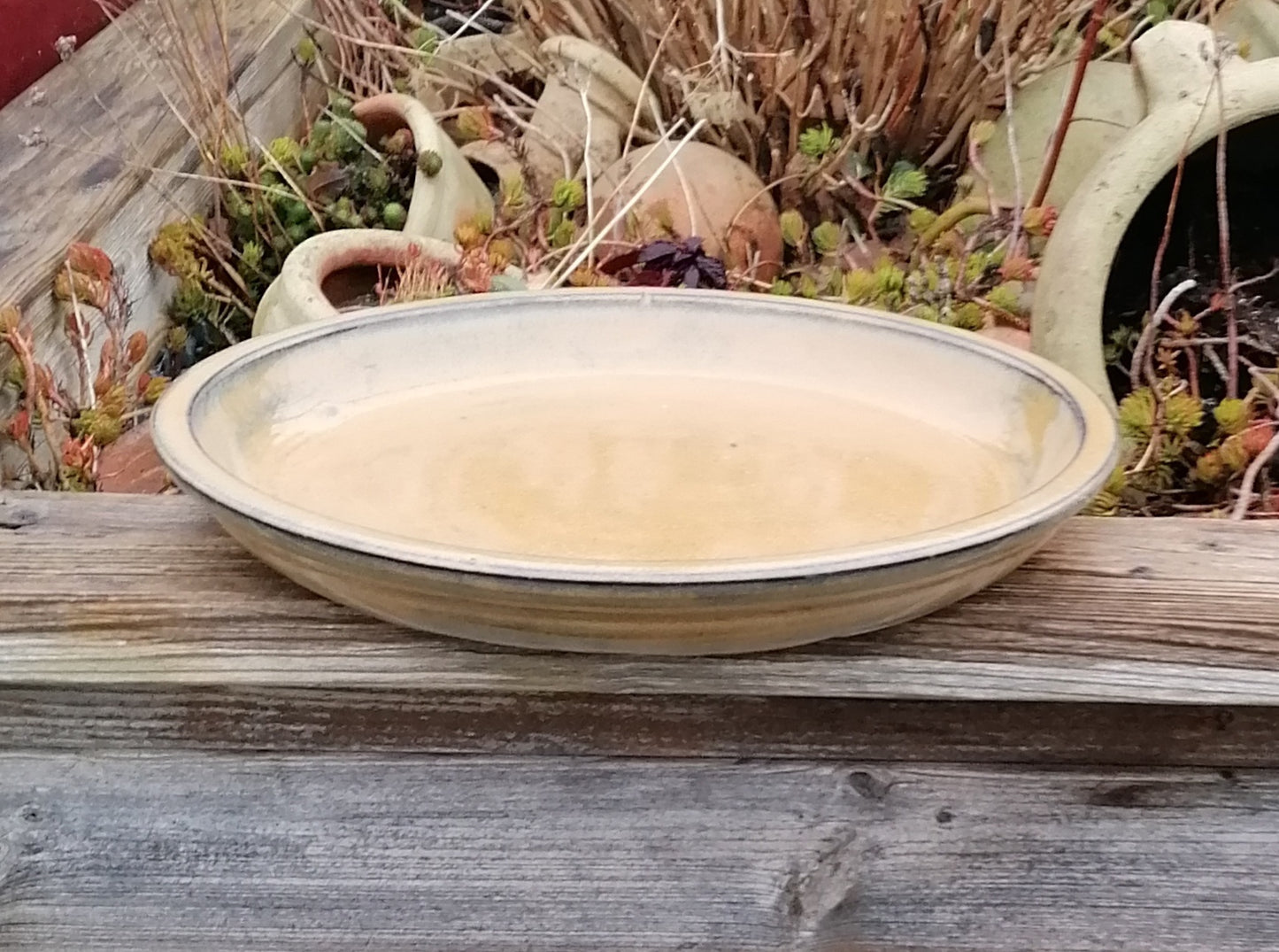 NEU !! Großer winterfester Untersetzer Teller Vogeltränke ø ca. 35 cm aus Keramik honiggelb glasiert Insektentränke Vogelbad Garten Blumentopf Unterteller