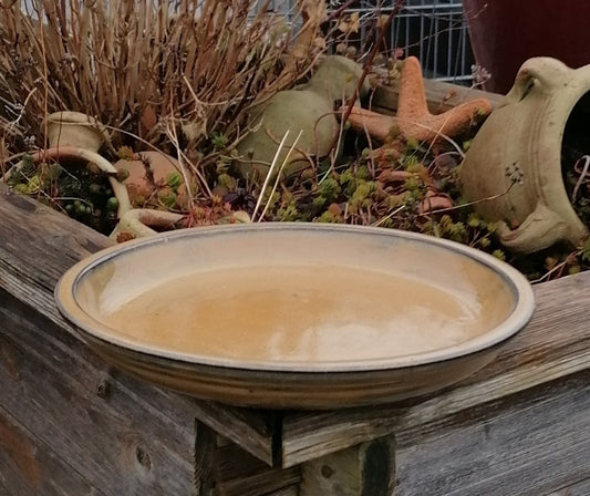 NEU !! Winterfester Untersetzer Teller Vogeltränke ø ca. 24 cm aus Keramik honiggelb glasiert Insektentränke Vogelbad Garten Blumentopf Unterteller