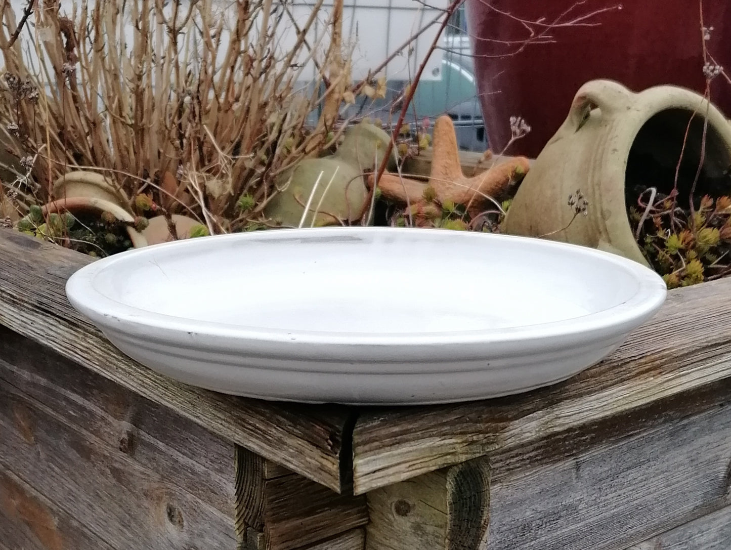 NEU !! Winterfester Untersetzer Teller Vogeltränke ø ca. 30 cm aus Keramik weiß glasiert Insektentränke Vogelbad Garten Blumentopf Unterteller