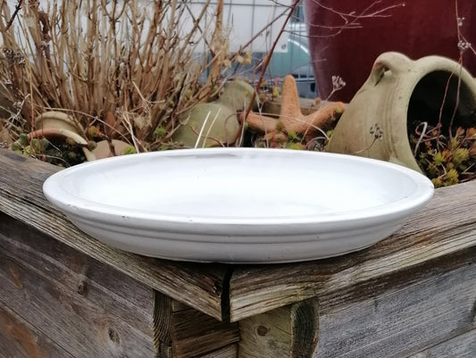NEU !! Winterfester Untersetzer Teller Vogeltränke ø ca. 24 cm aus Keramik weiß glasiert Insektentränke Vogelbad Garten Blumentopf Unterteller