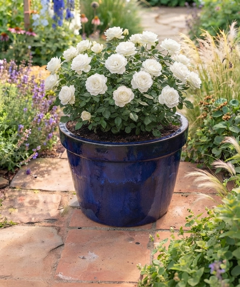 2.WAHL !! Blumentopf winterfest blau glasiert ø ca. 28 cm aus Steinzeu – La Casa