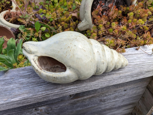 Neu ! Muschel ca. 23 cm lang aus winterfesten Steinzeug aus beige glasierten Steinzeug Meerestier Aquarium Wasser Teich Deko Schnecke