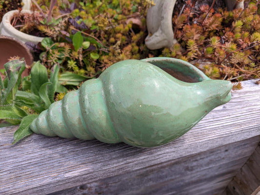 Neu ! Schnecke ca. 23 cm lang aus winterfesten Steinzeug aus grün glasierten Steinzeug Meerestier Aquarium Wasser Teich Deko Muschel