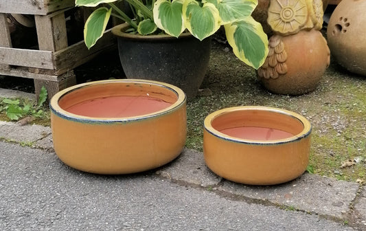NEU !! 2 er Set Pflanzschalen ø 21 cm +ø 30 cm aus Steinzeug honiggelb / ocker glasiert , Pflanztopf Blumenkübel Blumentopf