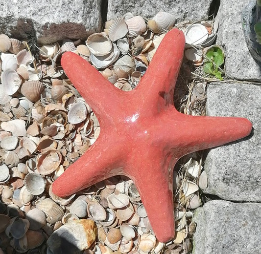 Neu !! Kleiner Seestern ca. 20 x 20 cm aus Steinzeug Meerestier Aquarium Wasser Teich Deko Muschel